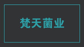 食品行業(yè)南京沖鋒衣設(shè)計(jì)款式