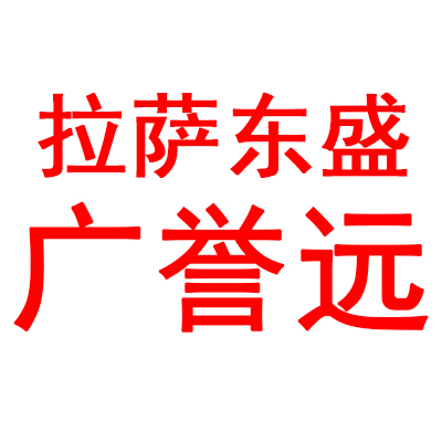 拉薩東盛廣譽(yù)遠(yuǎn)(圖2)